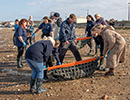 Seal Release - Nesquik and Rubicon