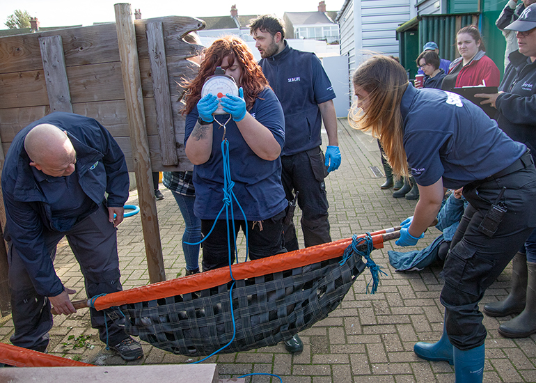 Rubicon and Nesquik - Common Seal pups - released on 3rd October 2023