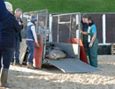 Seal Release - 9th January 2014