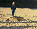 Seal Release - 9th January 2014