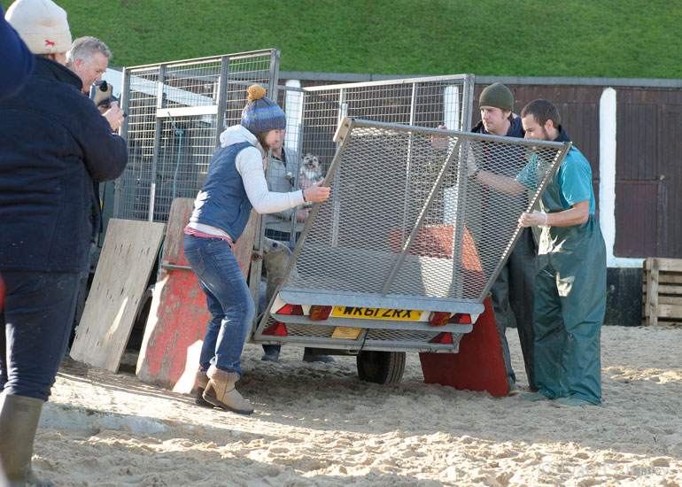 Seal Release - 9th January 2014