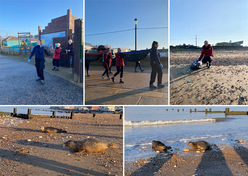 Seal Release - 12th December 2022