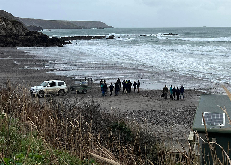 Seal Release - 13th January 2023 - Photo Credit - Lizzi Larbalestier - BDMLR