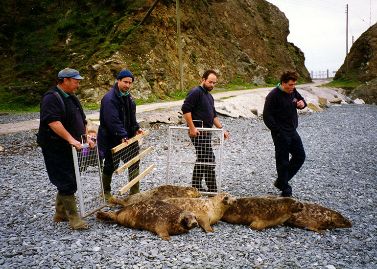 Malcolm, Phil, James and James helped with the seal release in 1990s