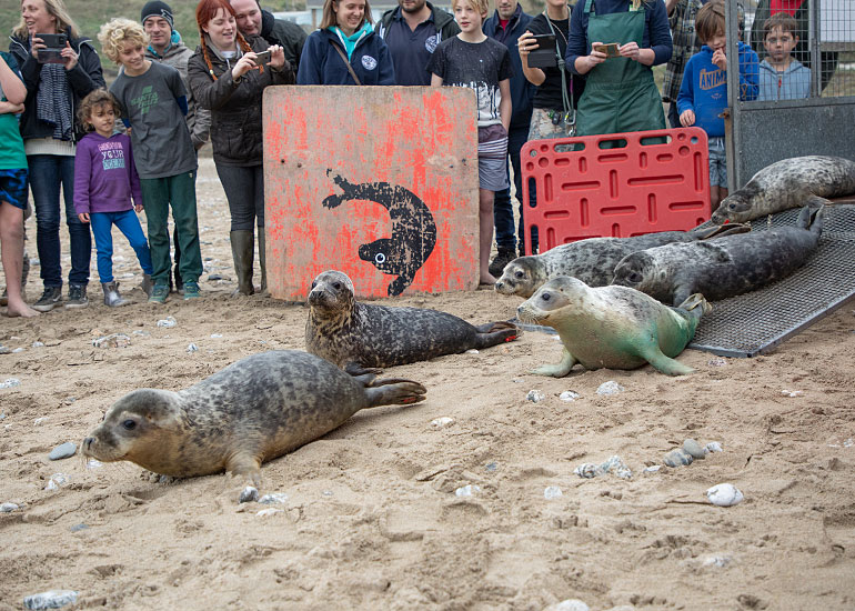 Seal Release - 31st December 2018
