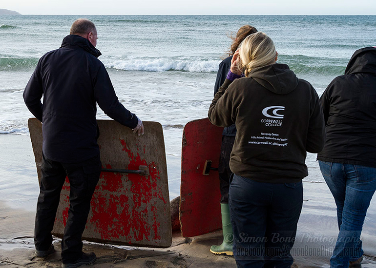 Seal Release - 25th November 2016 - Photo by Simon Bone