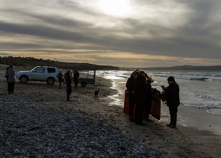 Seal Release - 25th November 2016 - Photo by Simon Bone