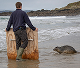 Seal Release - 29th October 2024