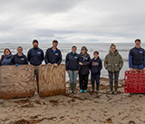 Seal Release - 29th October 2024