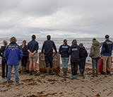 Seal Release - 29th October 2024