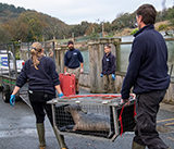 Seal Release - 29th October 2024