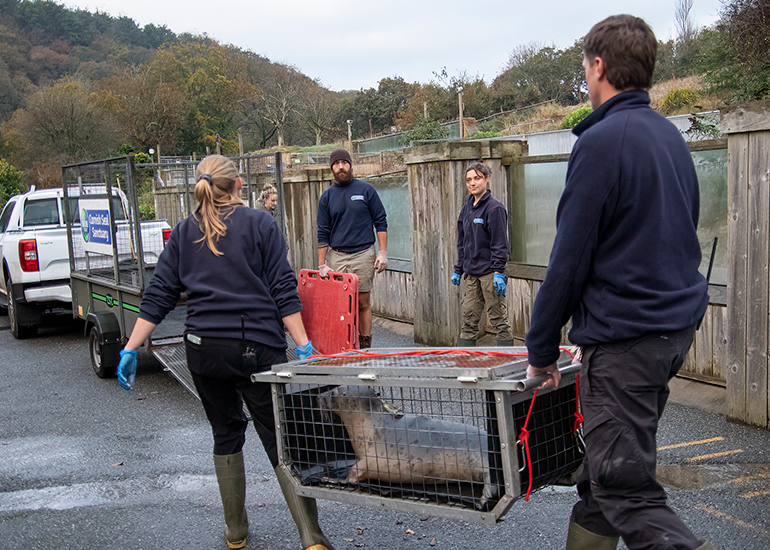 Seal Release - 29th October 2024