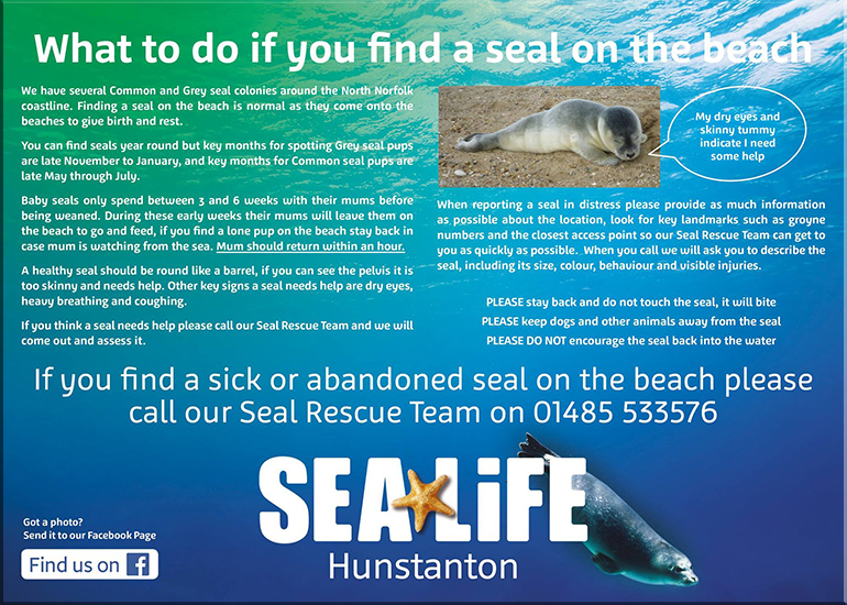 Seal Rescue Poster
