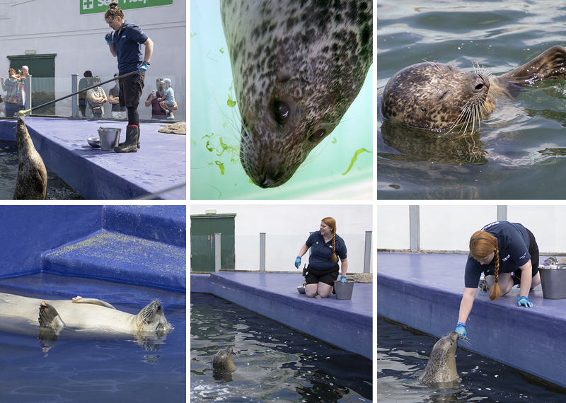 Seals