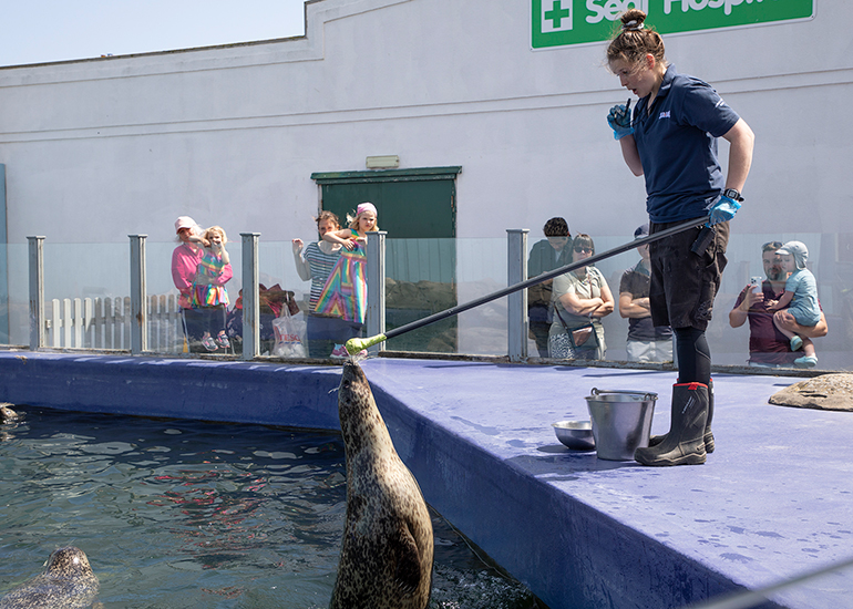 Seals