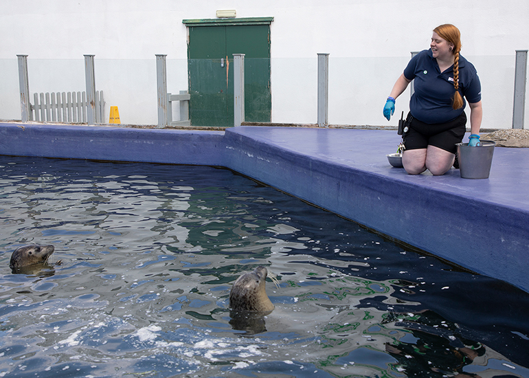 Seals