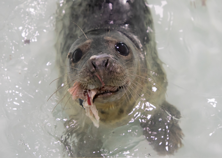 Seamus - photo taken on 14th April 2019