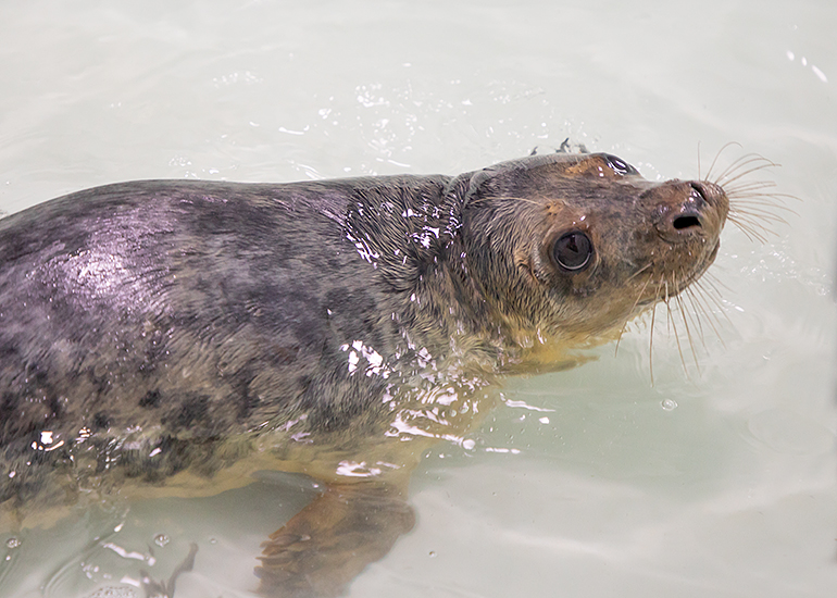 Seamus - photo taken on 26th May 2019