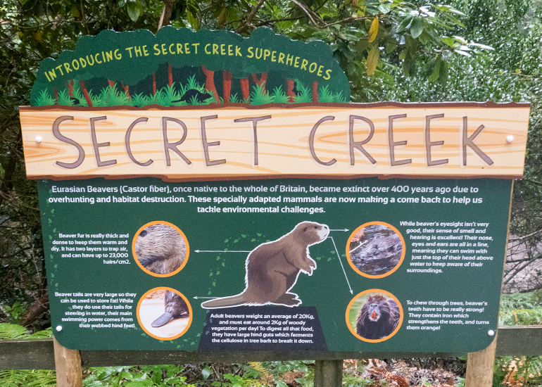 Introducing the Secret Creek Superheroes