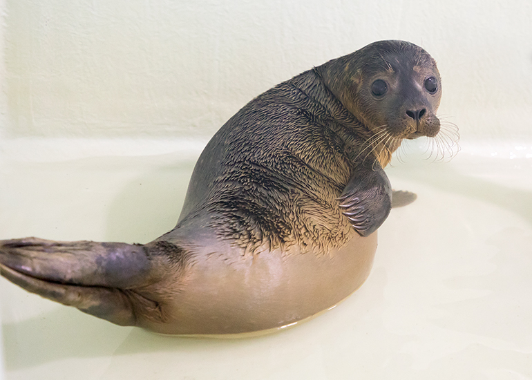 Shakira - photo taken on 24th August 2019