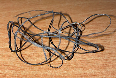 Netting