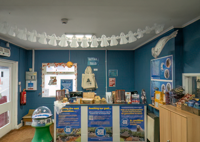 Cornish Seal Sanctuary