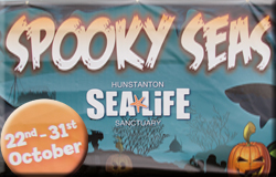 Spooky Seas