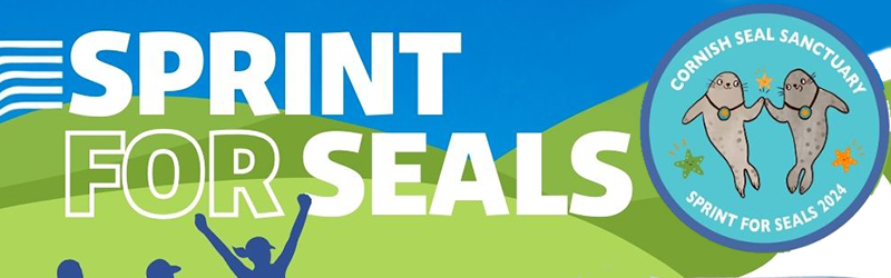 Sprint for Seals is back 2024