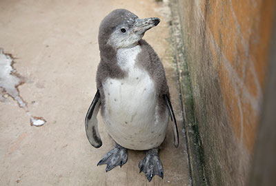 Squidge - 1st August 2018