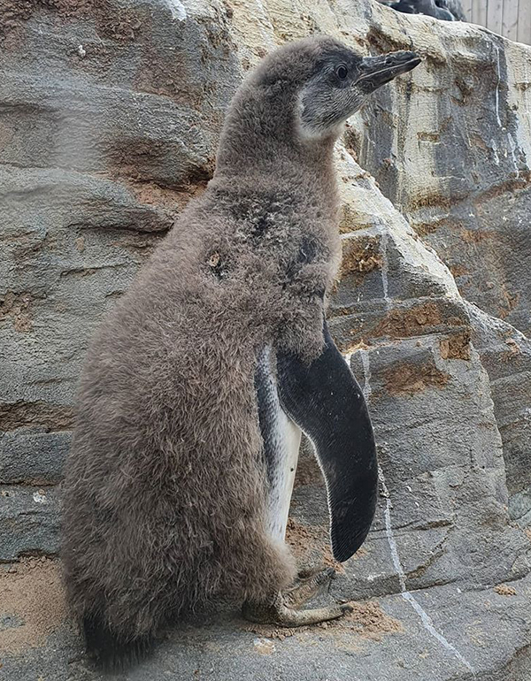 Squirt - 6th August 2020