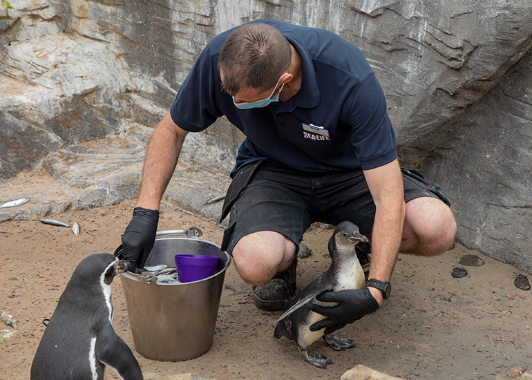 Squirt - 30th August 2020