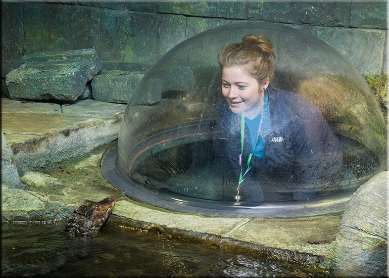 Hannah and one of the Cuvier Dwarf Crocs
