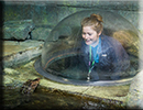 Hannah, a member of the Entertainments Team, is having a staring match with one of the Cuviers Dwarf Crocodiles to see who will blink first!