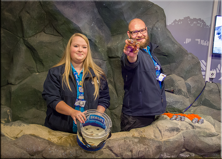 Hunstanton Sea Life Sanctuary