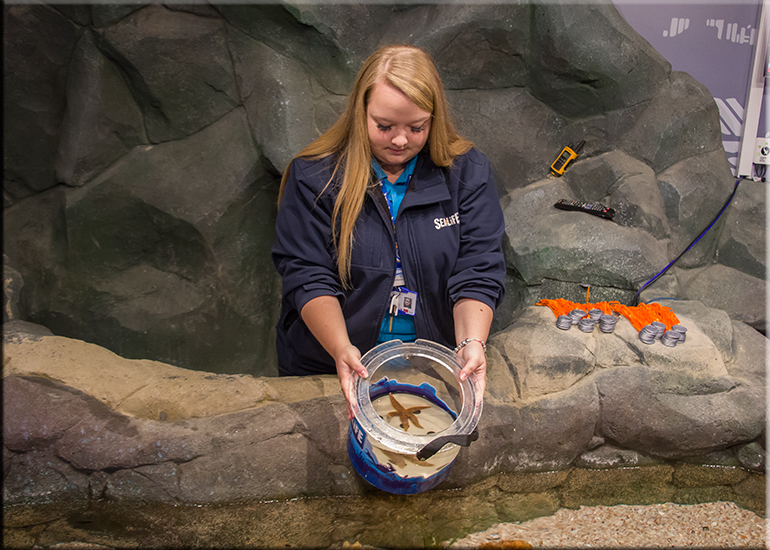 Hunstanton Sea Life Sanctuary