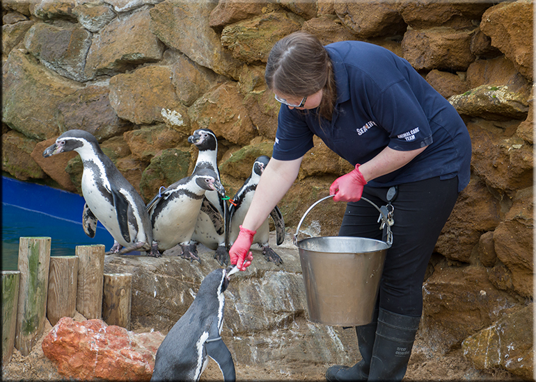 Hunstanton Sea Life Sanctuary