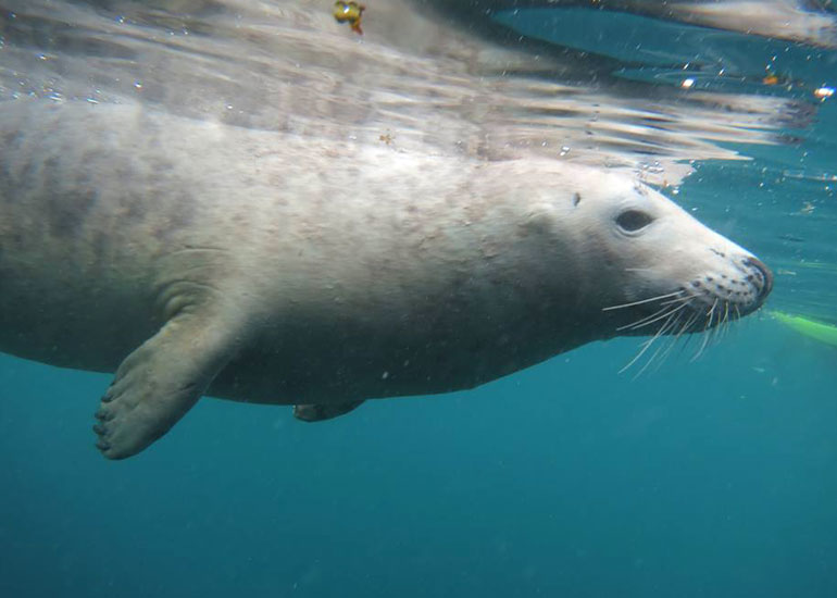 Photo of Sting taken in the wild on 22nd July 2013