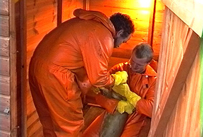 James and Stuart in 1993 in the hospital