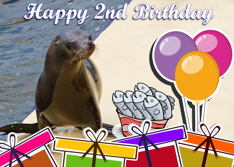 Sunny's 2nd birthday card