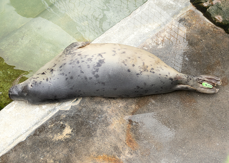 Taco - Photo taken on 31st July 2021