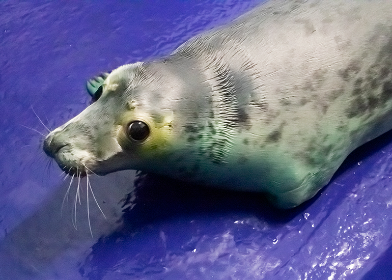 Taffy - Photo taken on 30th October 2020