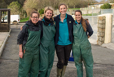 Animal Care Team