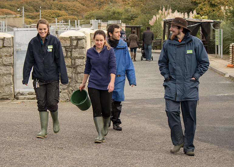 Animal Care Team