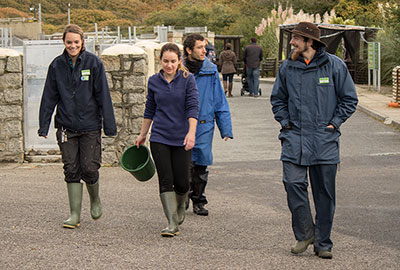 Volunteers and Members of the Animal Care Team