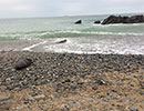 Seal Release - 7th April 2015