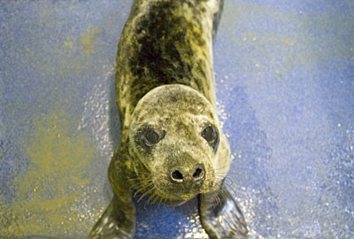 Titan in the hospital