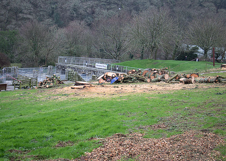 Cornish Seal Sanctuary