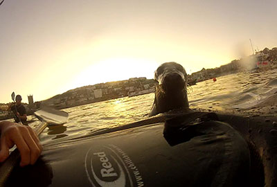 Photo by Jack and Amanda of Cornwall