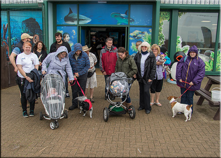 Walk for Whales - 28th June 2015