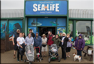 Walk for Whales